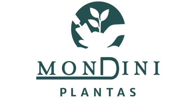 Mondini Plantas